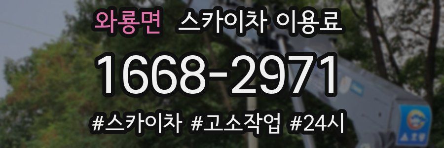 와룡면 스카이차 이용료