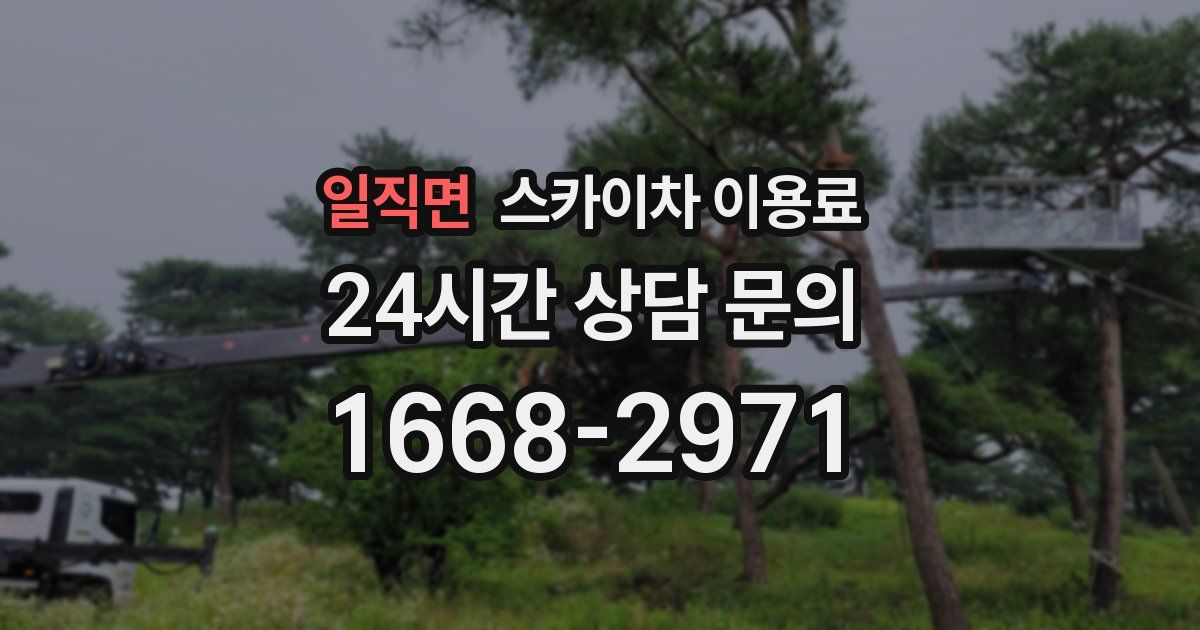 일직면 스카이차 이용료