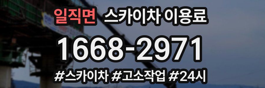 일직면 스카이차 이용료