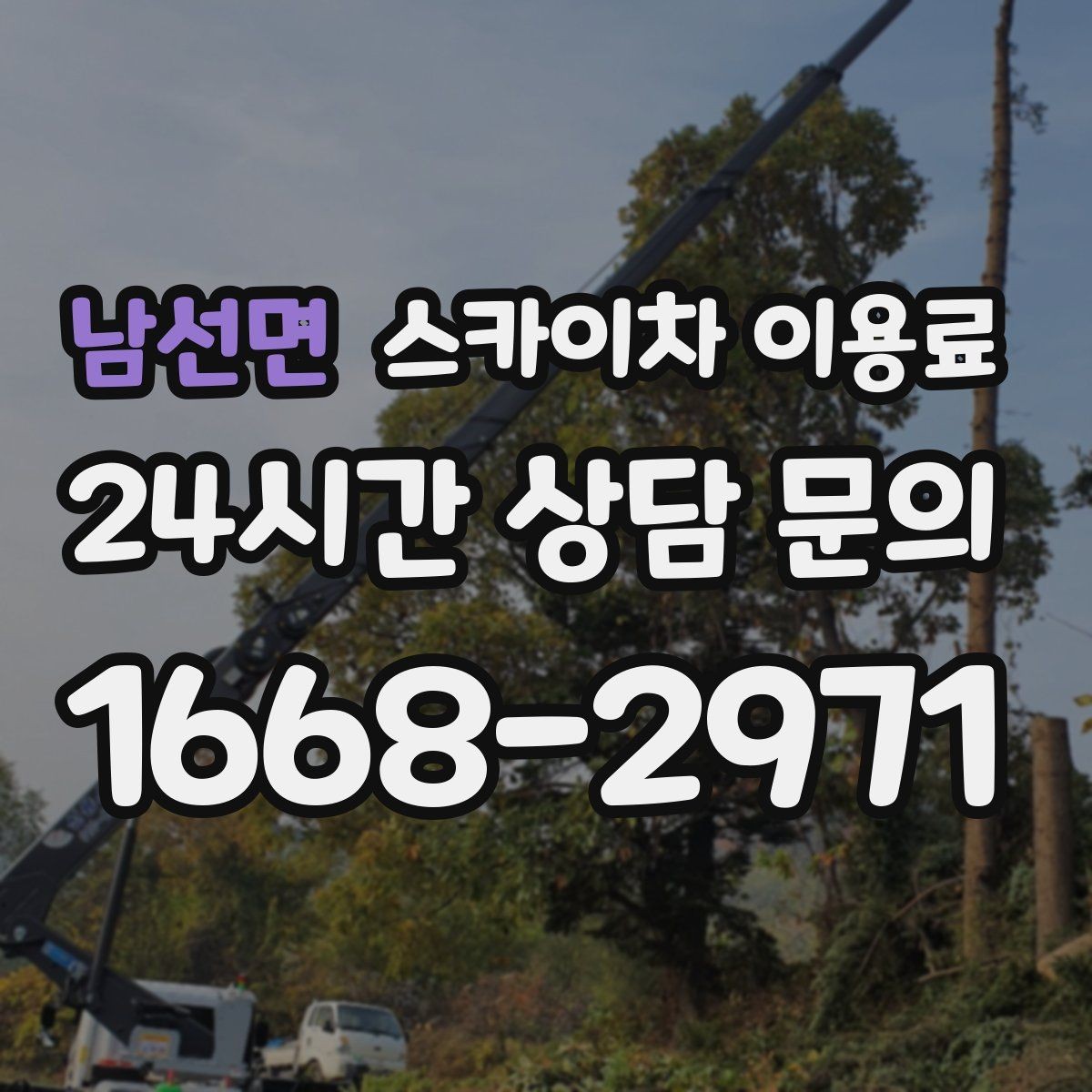 남선면 스카이차 이용료 비교 시 서비스 차이 확인하기