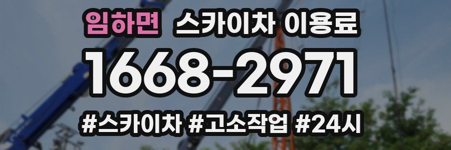 임하면 스카이차 이용료