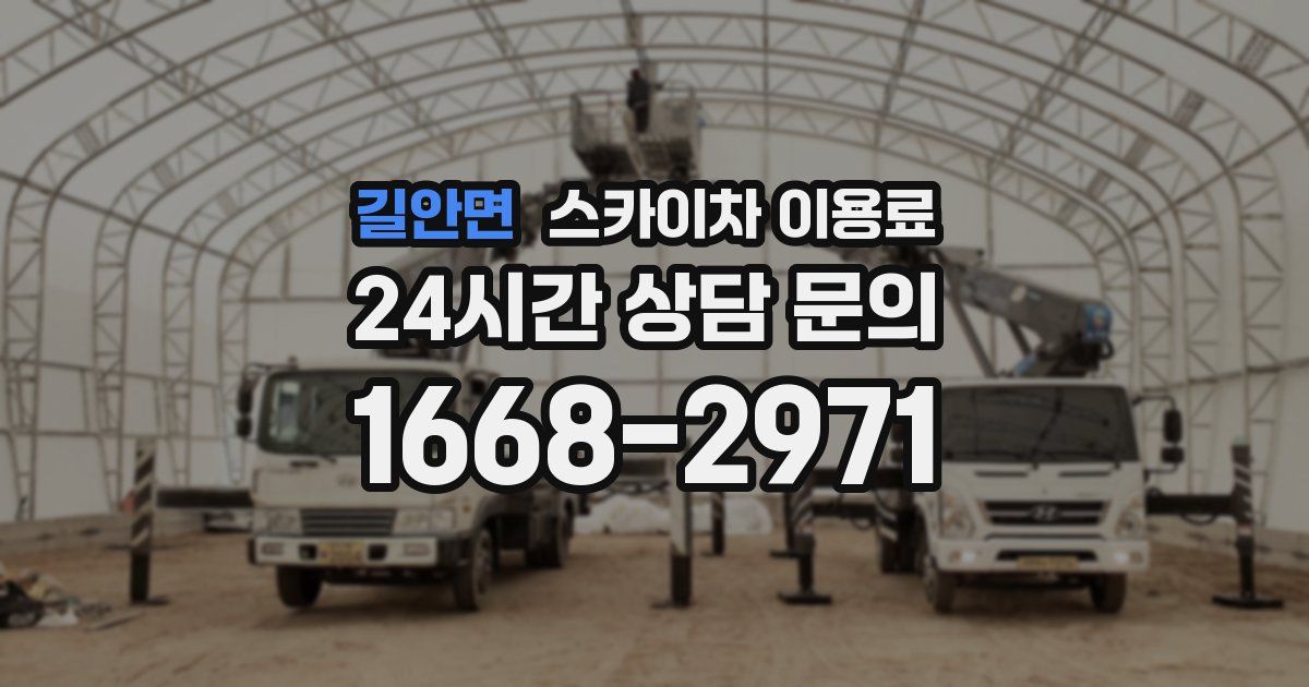 길안면 스카이차 이용료