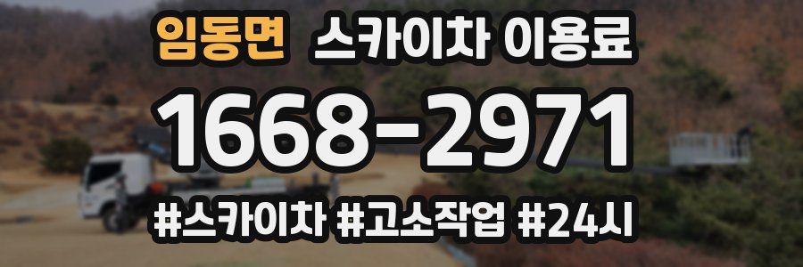 임동면 스카이차 이용료