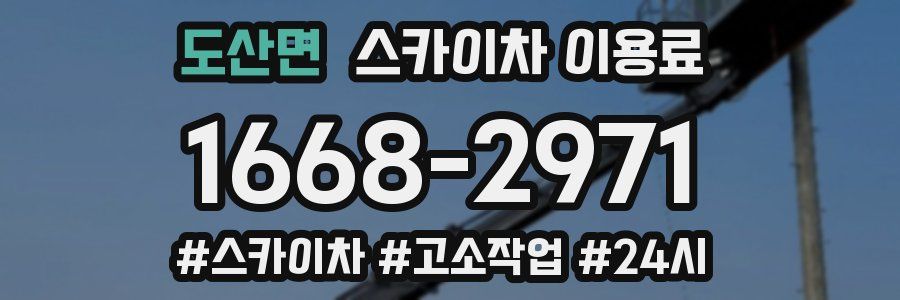 도산면 스카이차 이용료