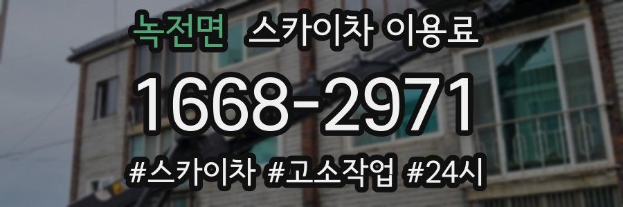 녹전면 스카이차 이용료