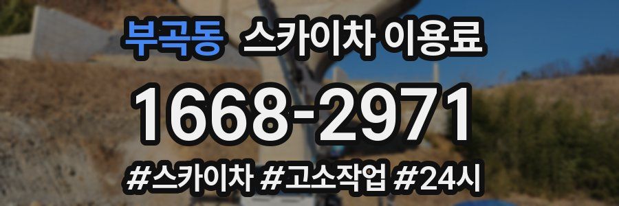 부곡동 스카이차 이용료