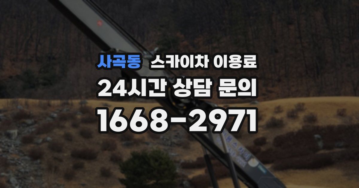 사곡동 스카이차 이용료
