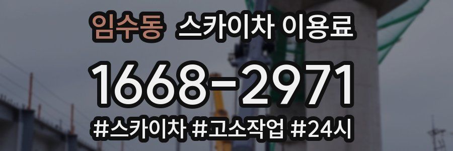 임수동 스카이차 이용료