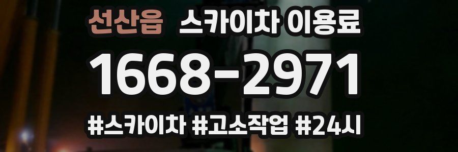 선산읍 스카이차 이용료