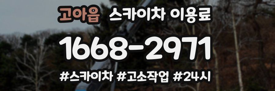고아읍 스카이차 이용료