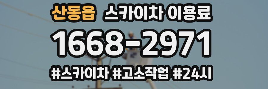 산동읍 스카이차 이용료