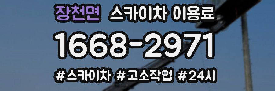 장천면 스카이차 이용료