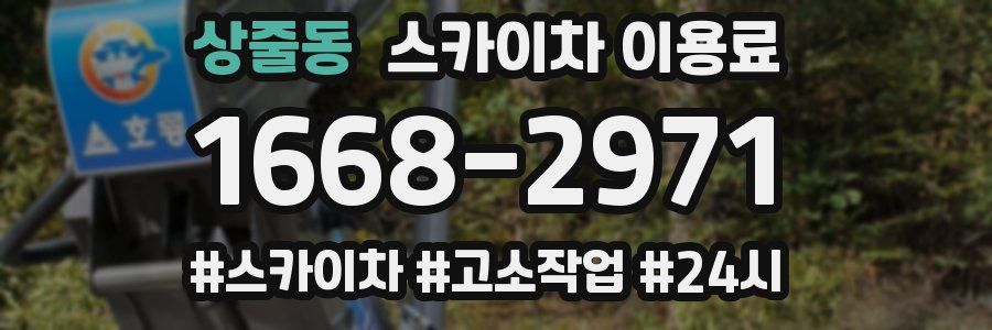 상줄동 스카이차 이용료