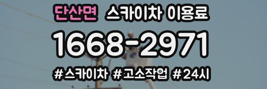 단산면 스카이차 이용료