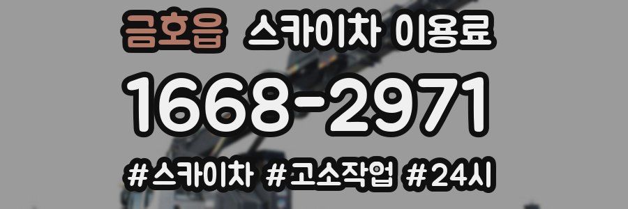 금호읍 스카이차 이용료