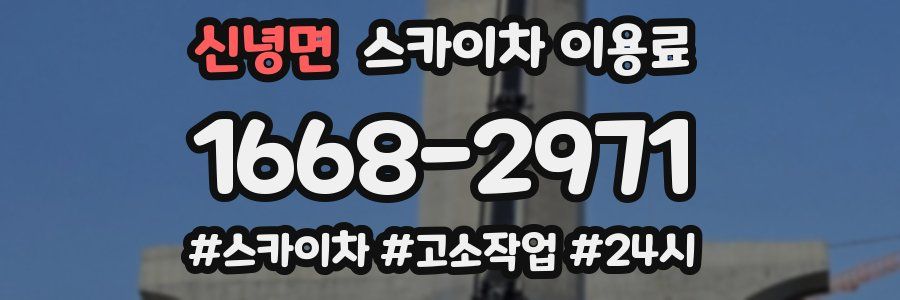 신녕면 스카이차 이용료