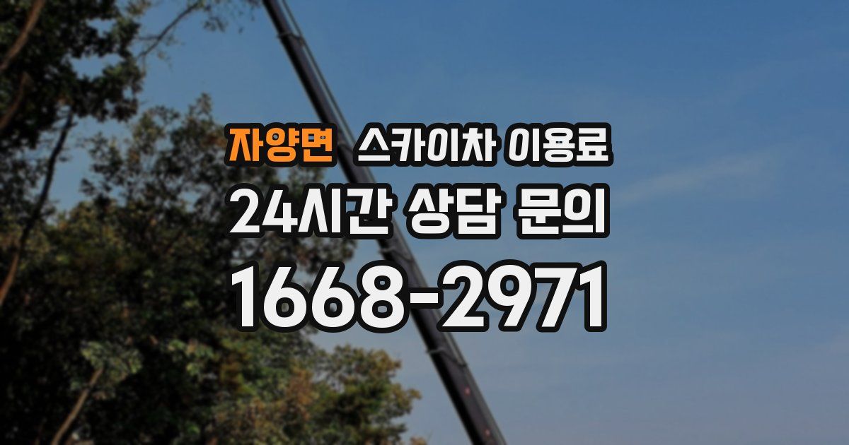 자양면 스카이차 이용료