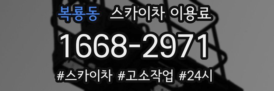 복룡동 스카이차 이용료