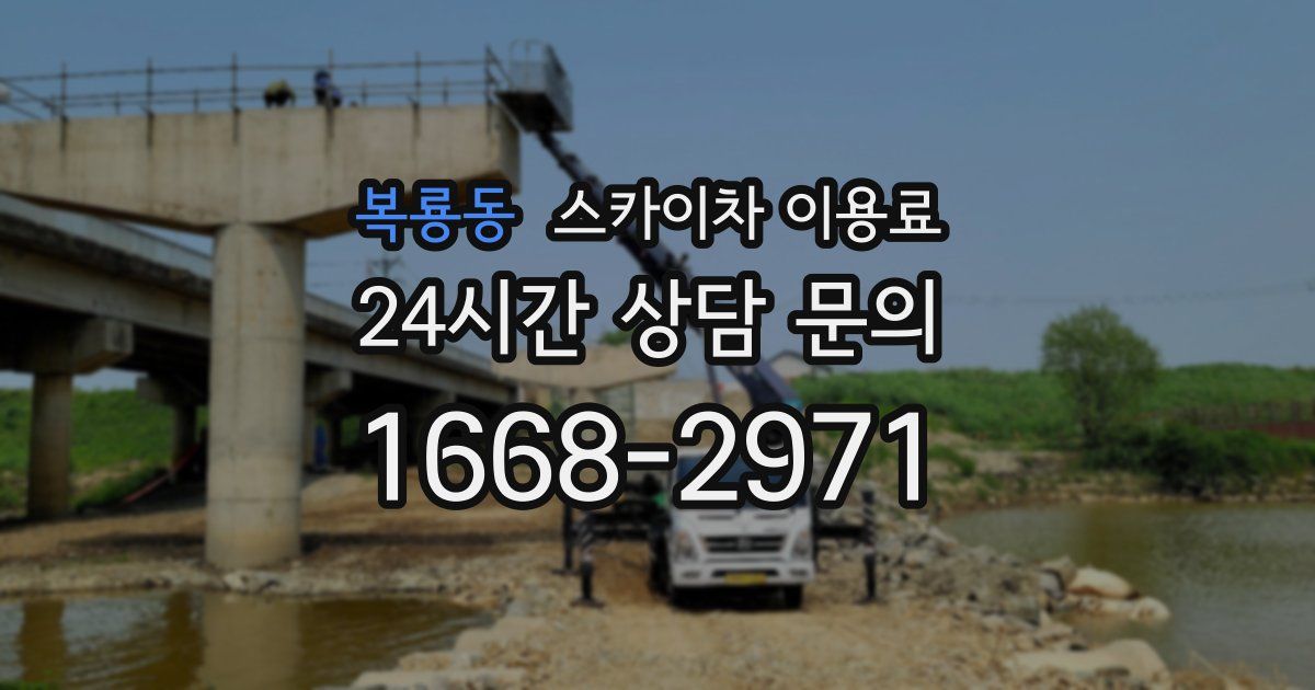 복룡동 스카이차 이용료
