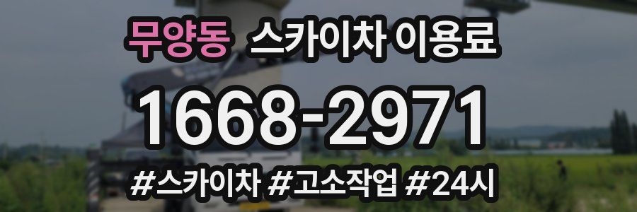 무양동 스카이차 이용료