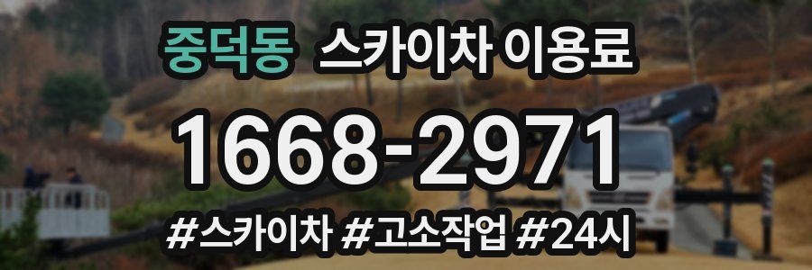 중덕동 스카이차 이용료