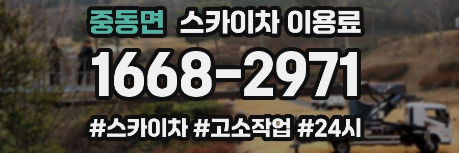 중동면 스카이차 이용료