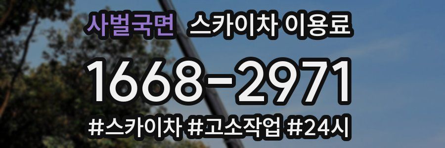 사벌국면 스카이차 이용료