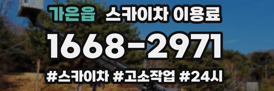가은읍 스카이차 이용료