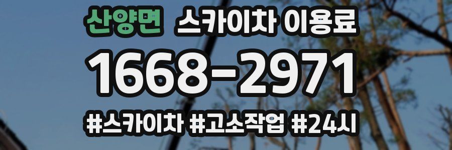 산양면 스카이차 이용료