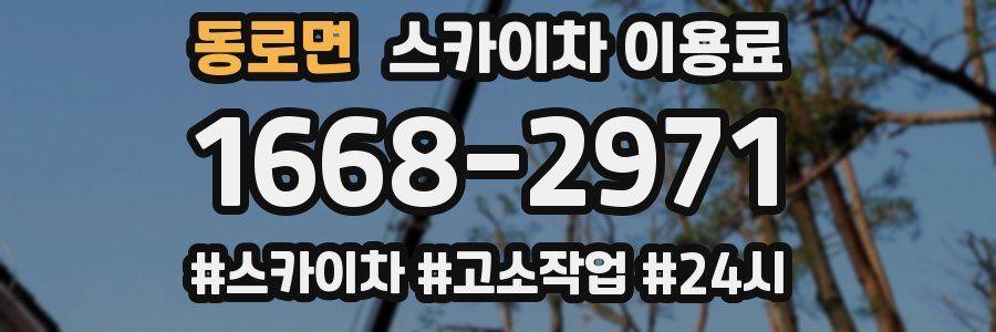 동로면 스카이차 이용료
