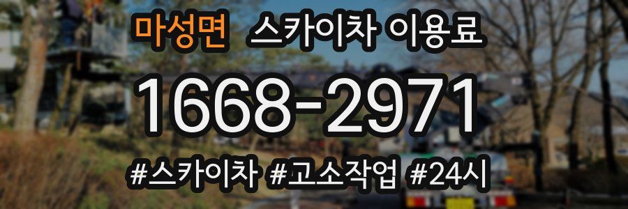마성면 스카이차 이용료
