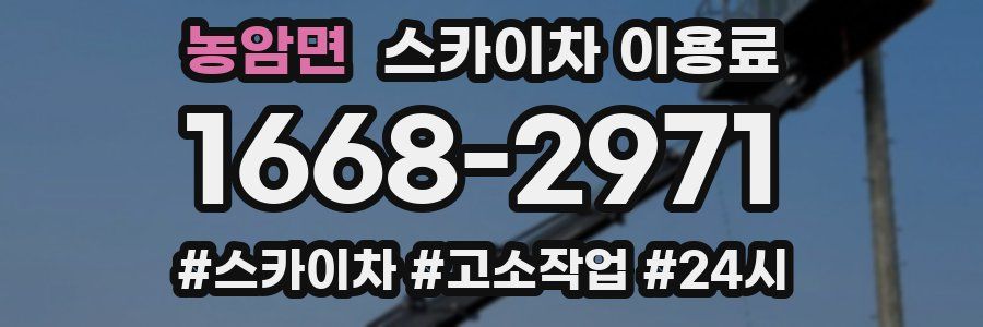농암면 스카이차 이용료