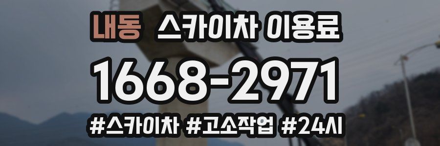 내동 스카이차 이용료