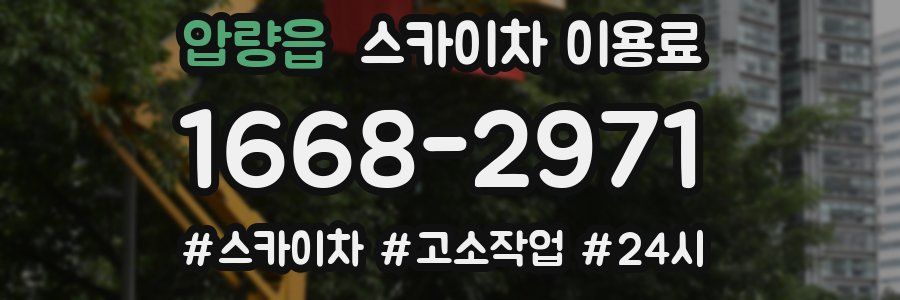압량읍 스카이차 이용료
