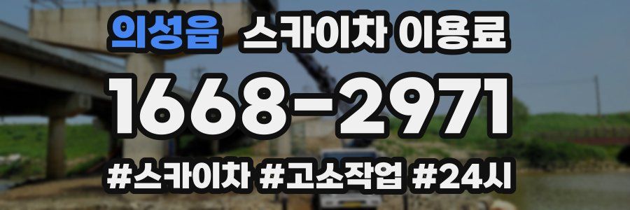 의성읍 스카이차 이용료
