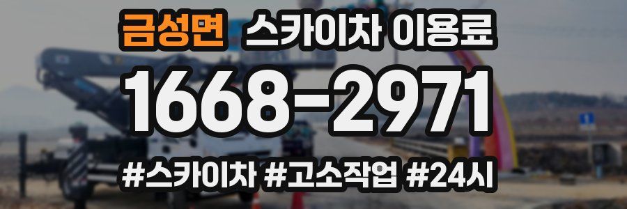 금성면 스카이차 이용료