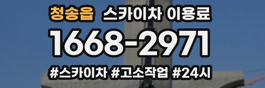 청송읍 스카이차 이용료