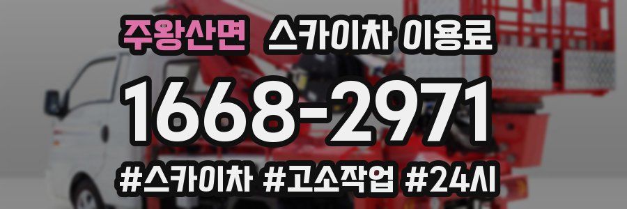 주왕산면 스카이차 이용료