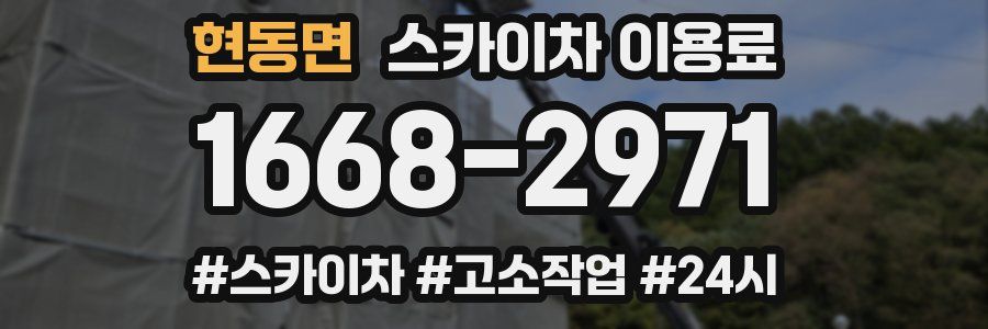 현동면 스카이차 이용료