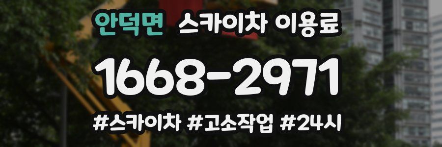 안덕면 스카이차 이용료