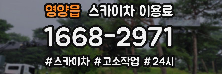 영양읍 스카이차 이용료