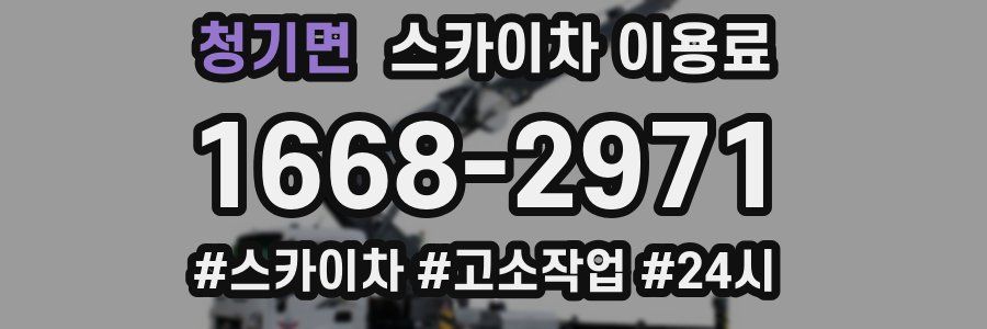 청기면 스카이차 이용료