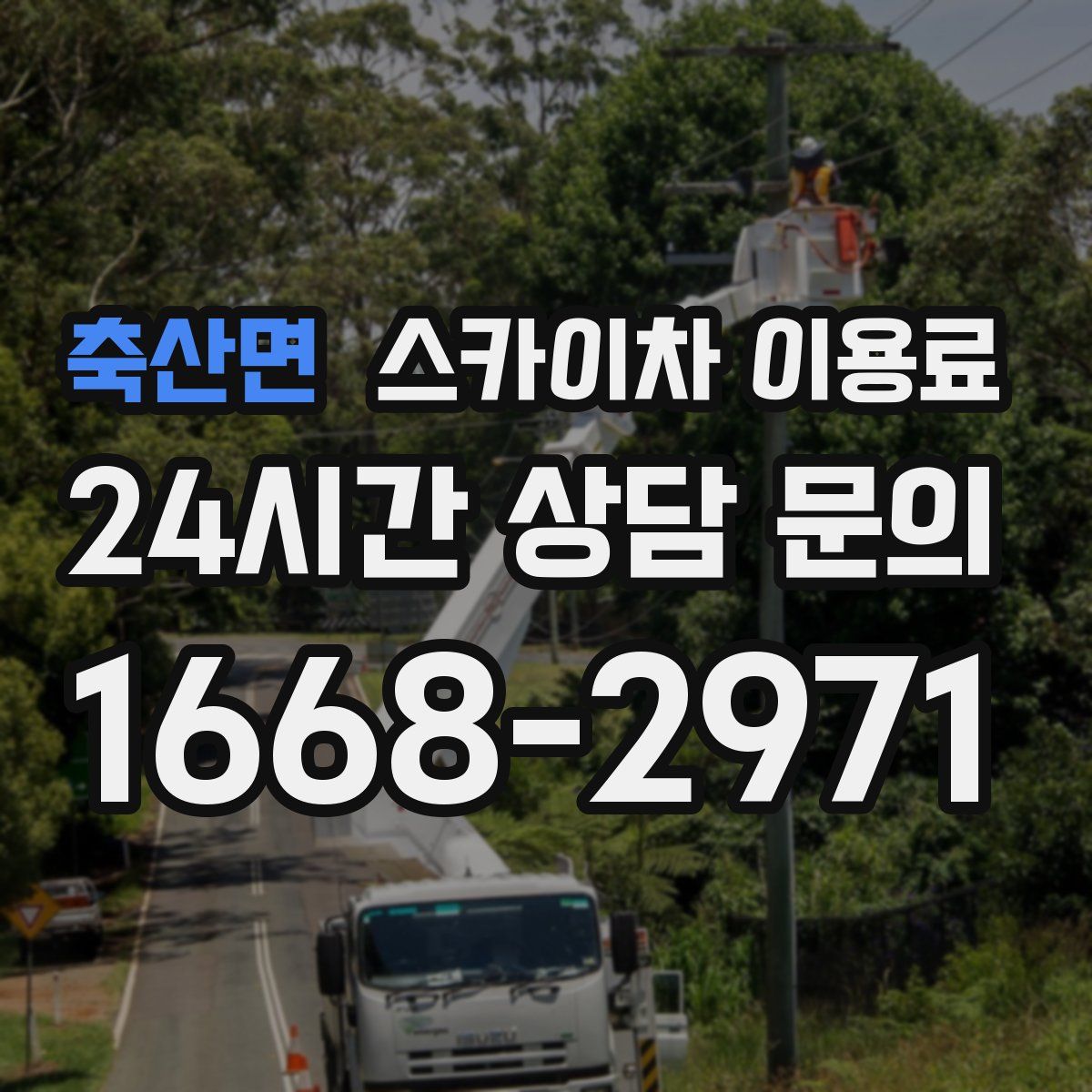 축산면 스카이차 이용료