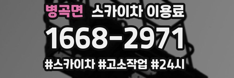 병곡면 스카이차 이용료