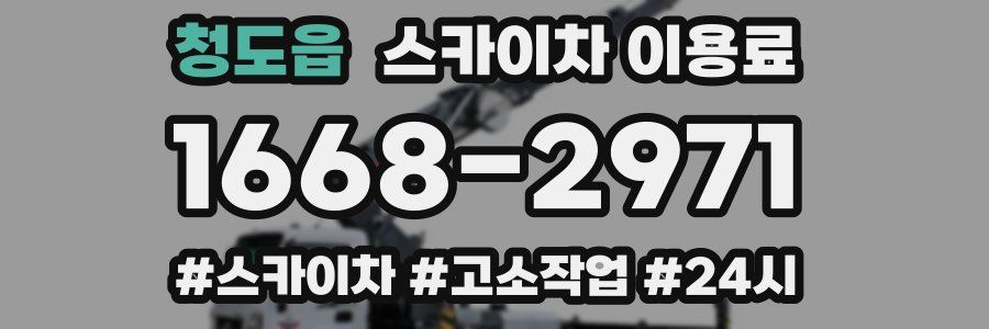 청도읍 스카이차 이용료
