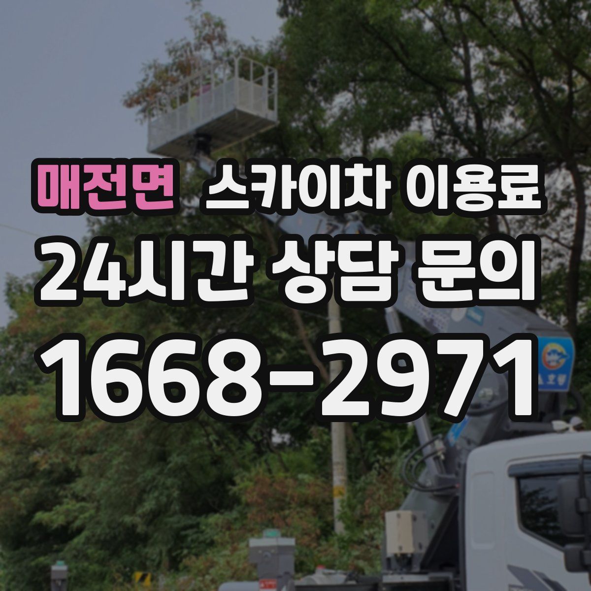 매전면 스카이차 이용료