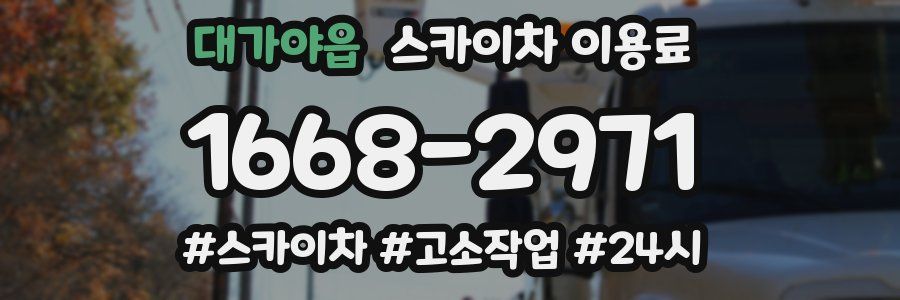 대가야읍 스카이차 이용료