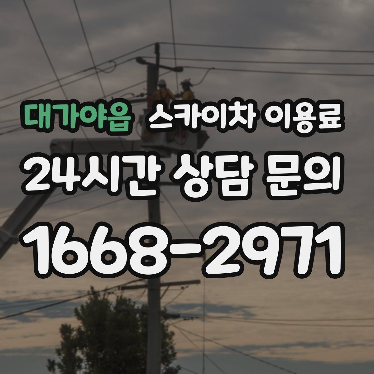 대가야읍 스카이차 이용료