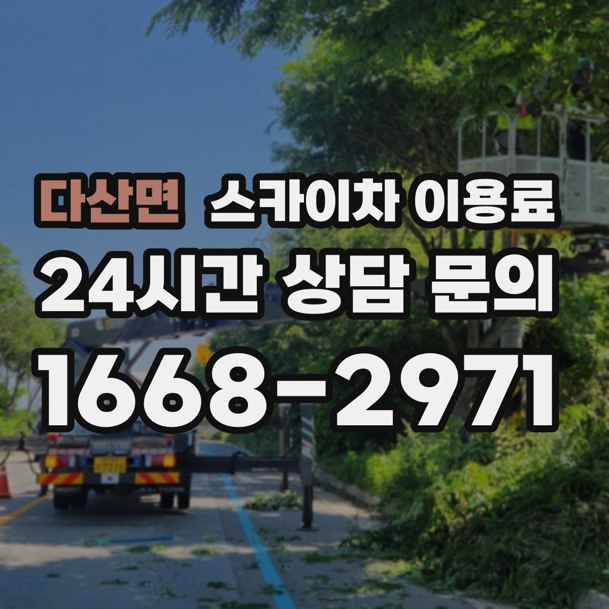 다산면 스카이차 이용료