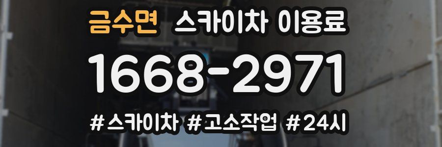 금수면 스카이차 이용료